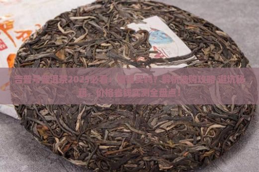 吉普号普洱茶可以买吗