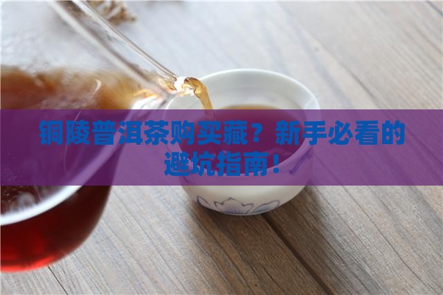 铜陵普洱茶购买藏