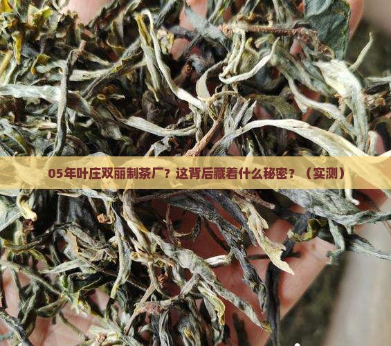 05年叶庄双丽制茶厂