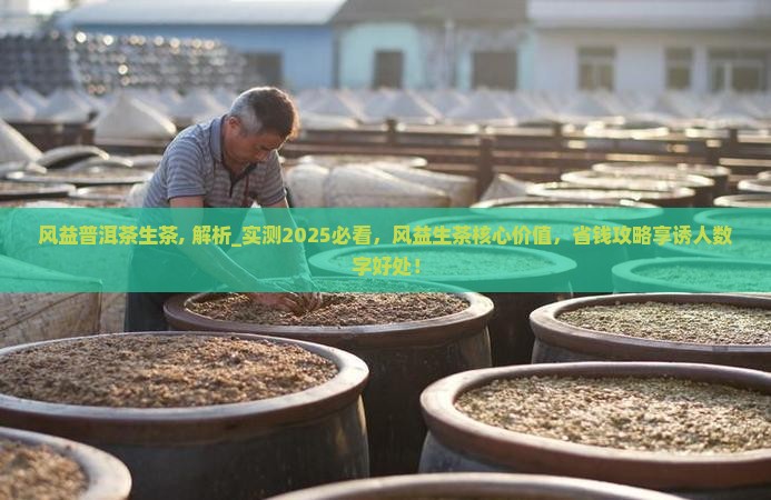风益普洱茶生茶
