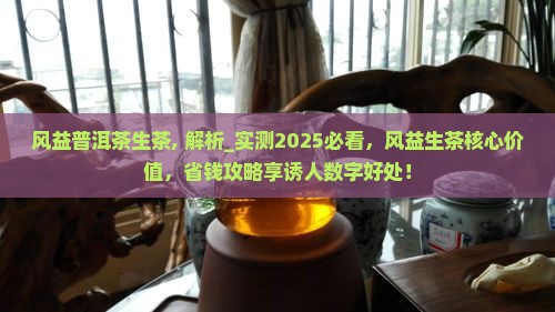 风益普洱茶生茶