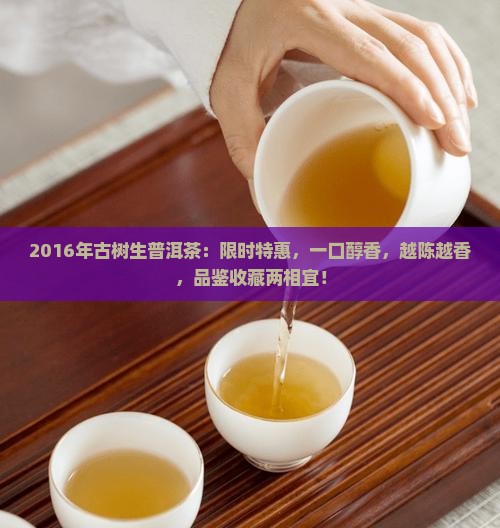 2016年古树生普洱茶