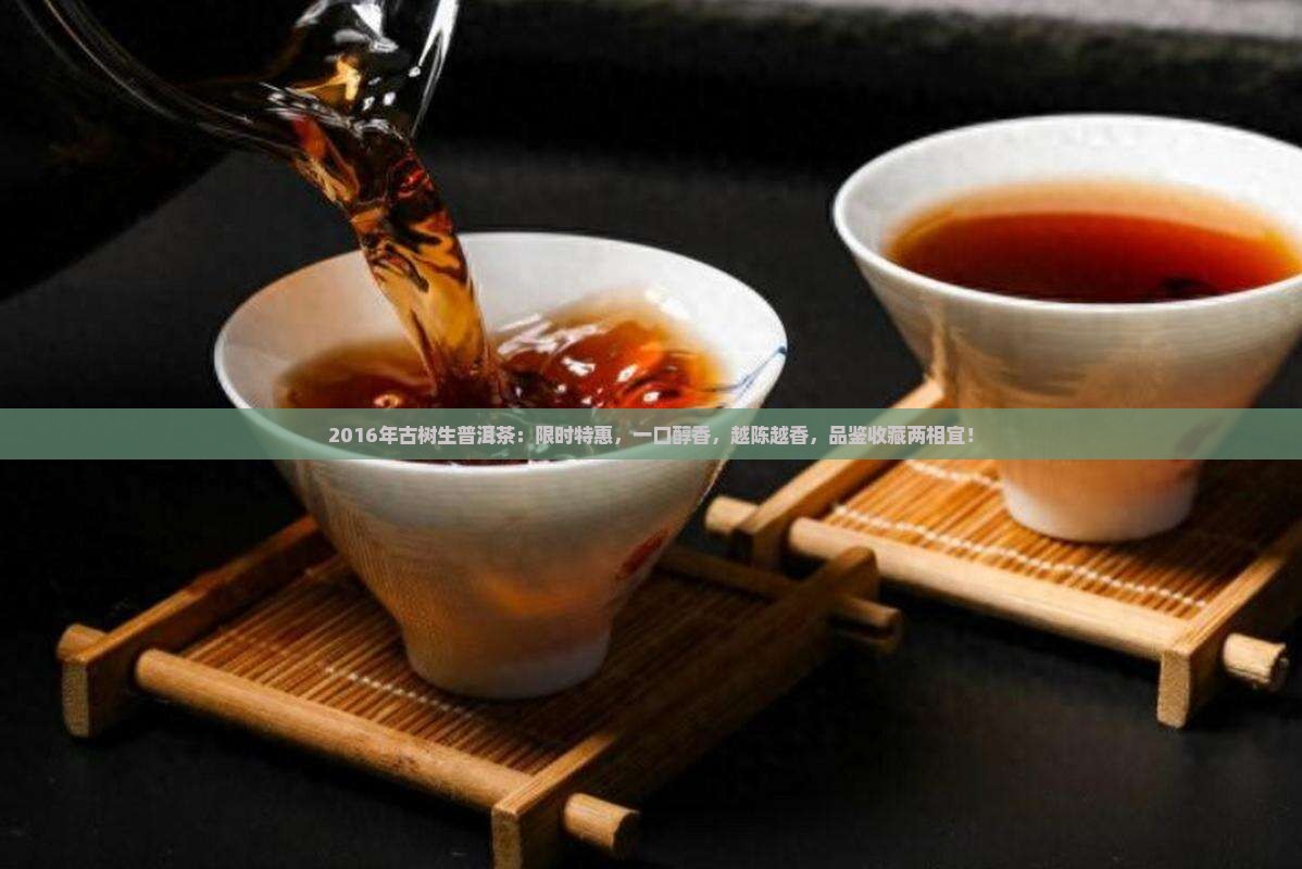 2016年古树生普洱茶