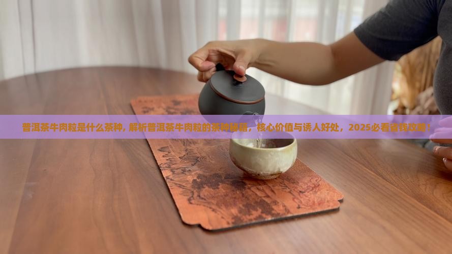 普洱茶牛肉粒是什么茶种