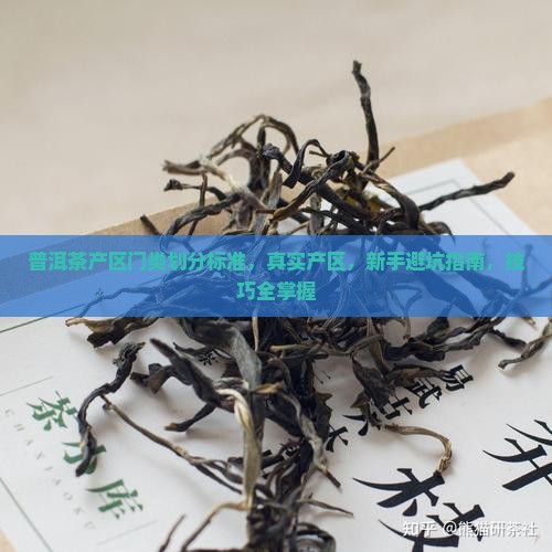 普洱茶产区门类划分标准