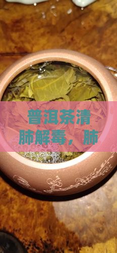 普洱茶清肺解毒