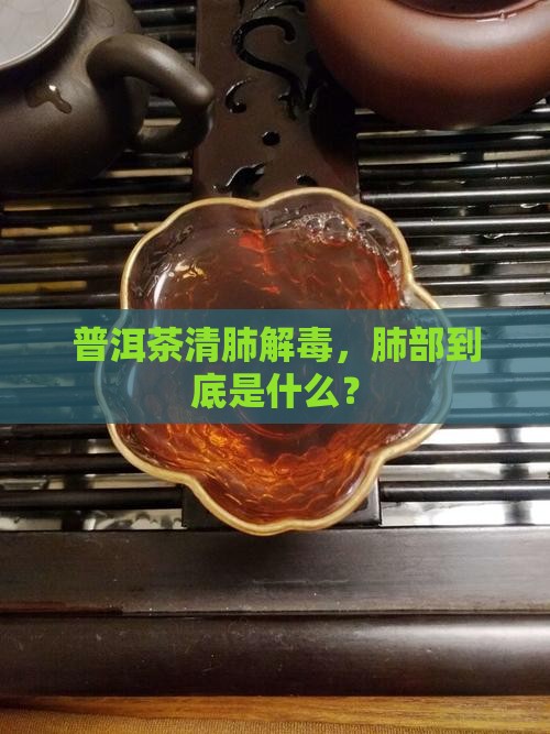 普洱茶清肺解毒