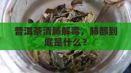 普洱茶清肺解毒
