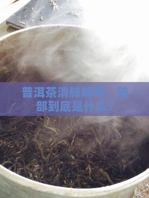 普洱茶清肺解毒