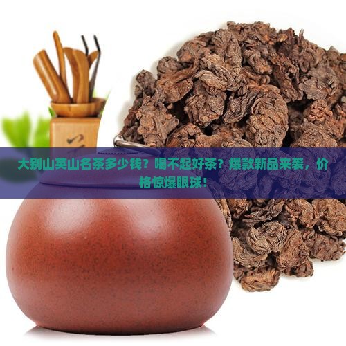 大别山英山名茶多少钱
