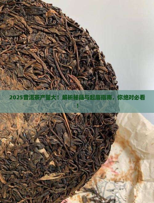 普洱茶产量受什么影响