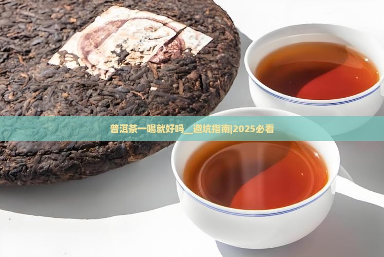 普洱茶一喝就好吗
