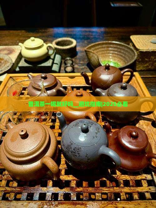 普洱茶一喝就好吗
