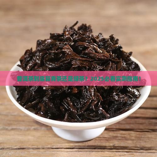普洱茶可以说是青茶吗还是绿茶