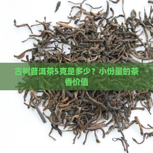 古树普洱茶5克是多少