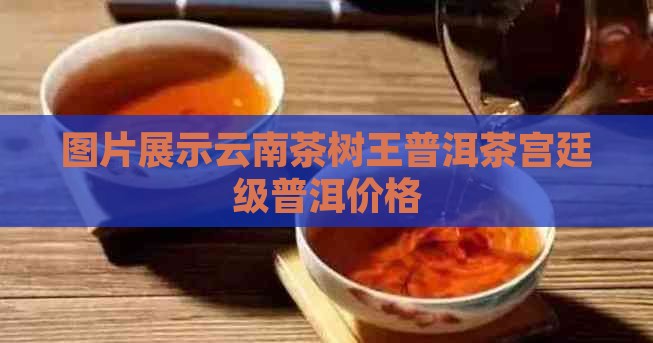 茶树王普洱茶宫廷