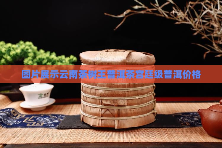 茶树王普洱茶宫廷