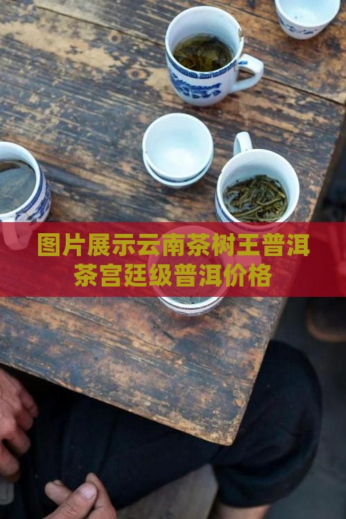 茶树王普洱茶宫廷