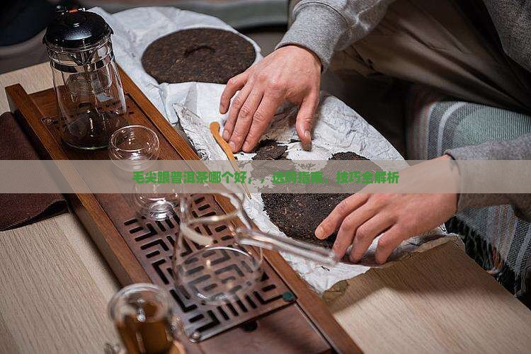 毛尖跟普洱茶哪个好