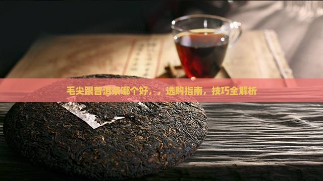 毛尖跟普洱茶哪个好