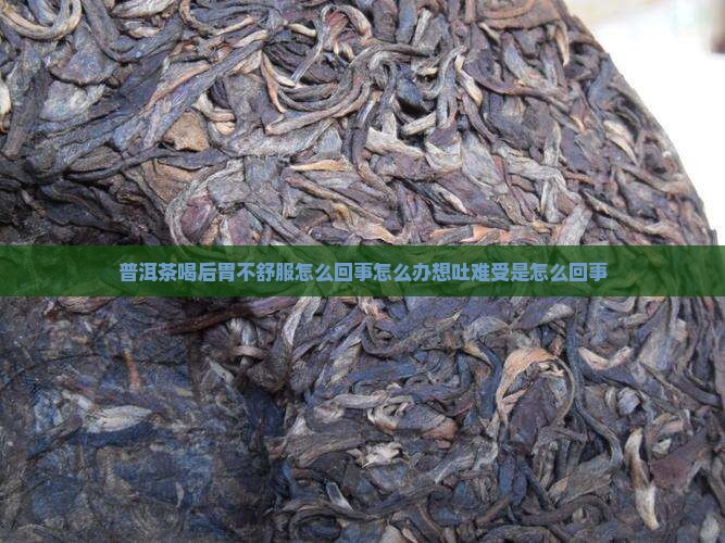 普洱茶喝后胃不舒服