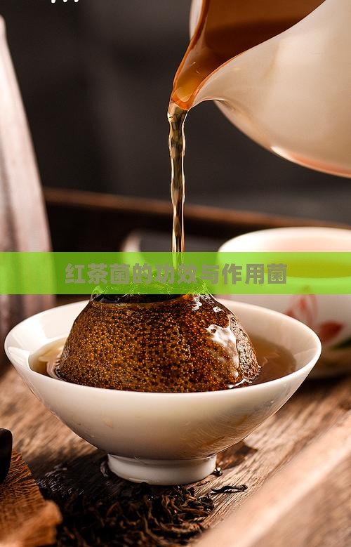 红茶菌的功效与作用菌