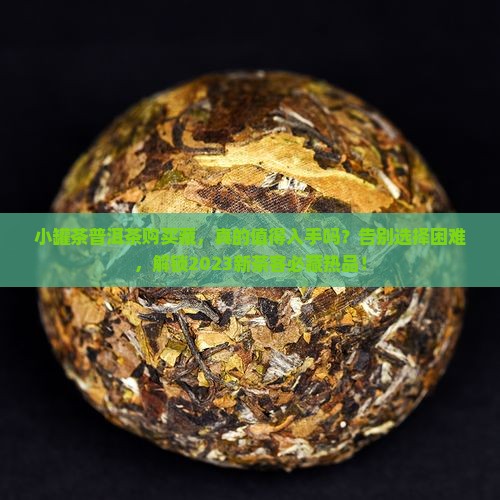 小罐茶普洱茶购买藏
