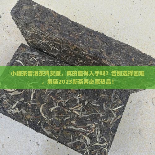 小罐茶普洱茶购买藏