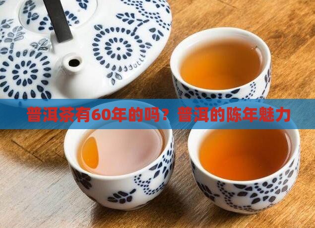 普洱茶有60年的吗
