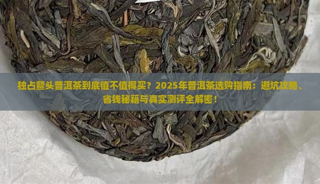 独占鳌头普洱茶