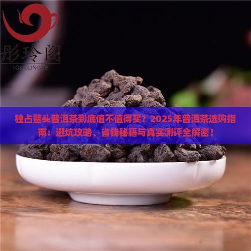 独占鳌头普洱茶