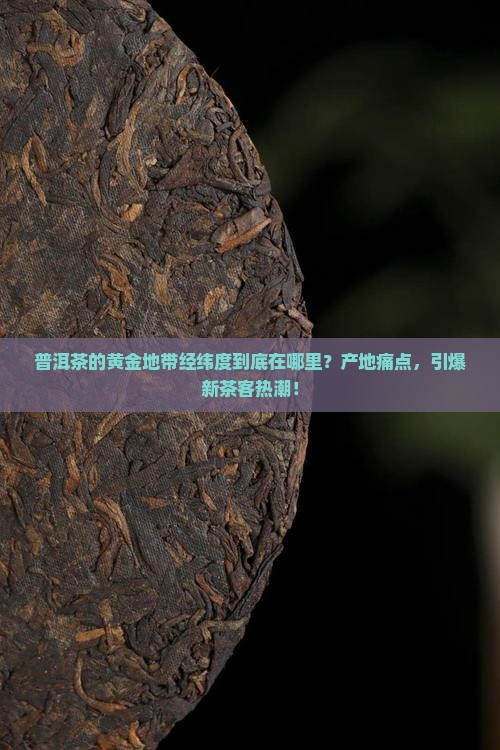 普洱茶的黄金地带经纬度