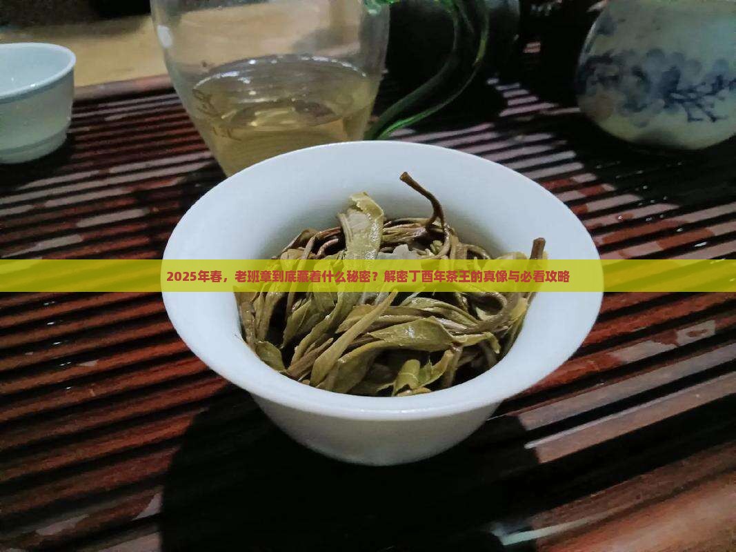丁酉年年春老班章