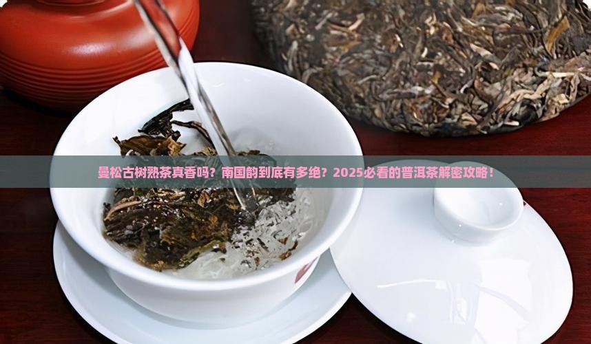 曼松普洱茶古树熟茶南国韵