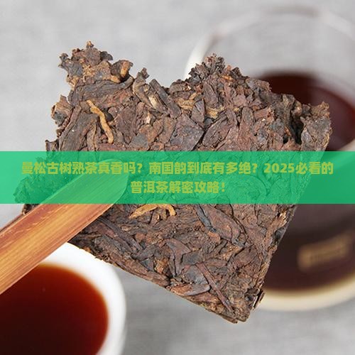 曼松普洱茶古树熟茶南国韵