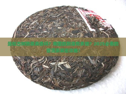 曼松普洱茶古树熟茶南国韵
