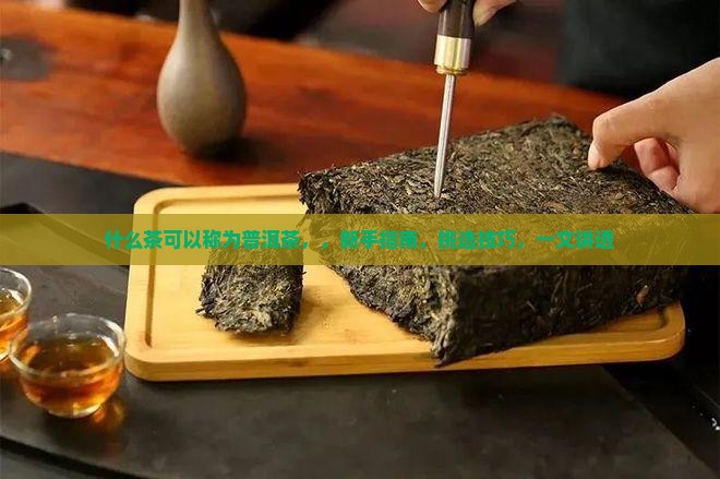 什么茶可以称为普洱茶