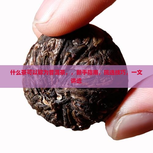 什么茶可以称为普洱茶