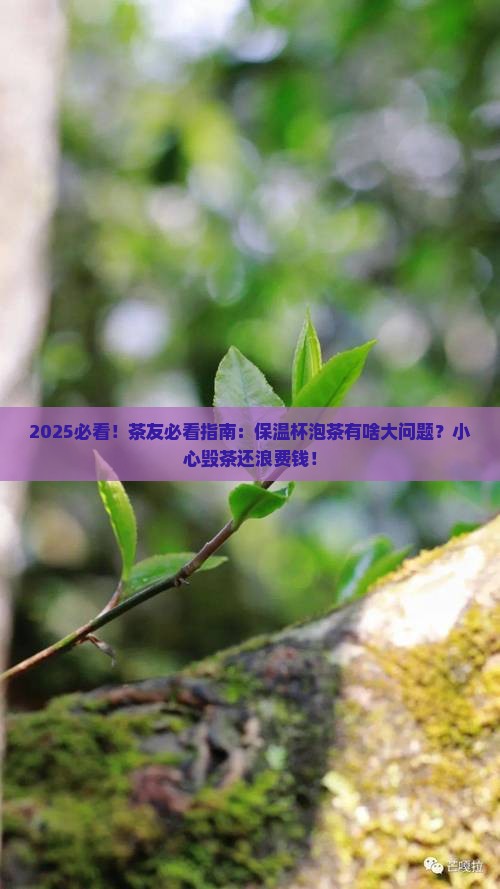 茶叶为什么不能用保温杯泡茶