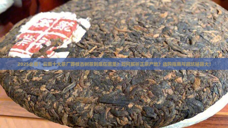 云南十大茶厂莽枝古树茶在哪里