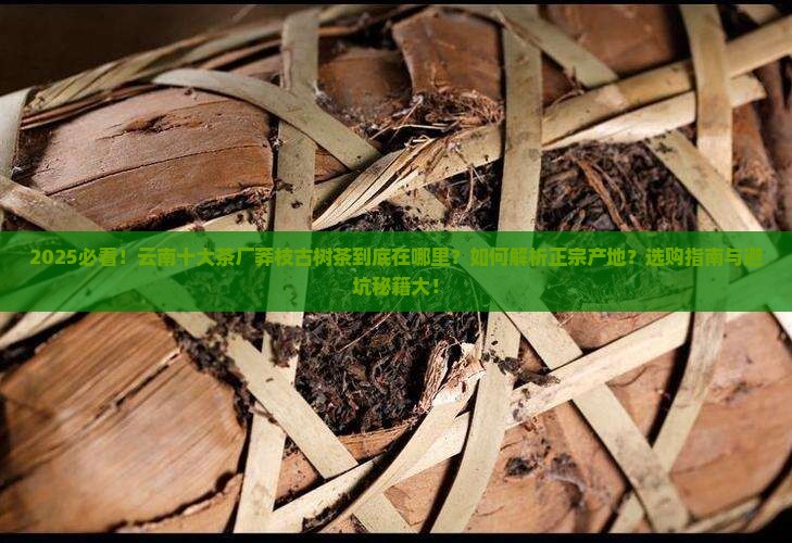 云南十大茶厂莽枝古树茶在哪里