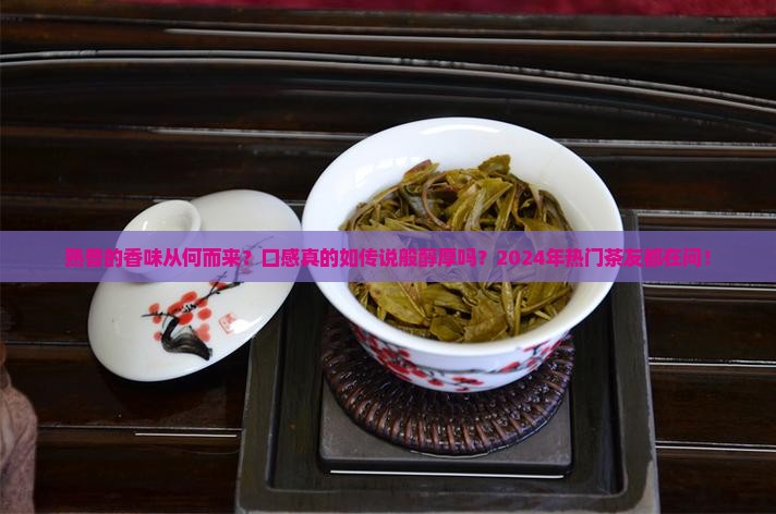 熟普的香味熟普香气口感