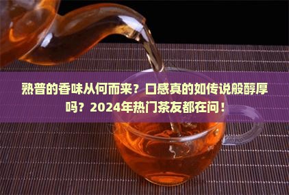 熟普的香味熟普香气口感