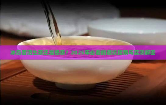 冰岛普洱生茶还是熟茶 冰岛普洱生茶还是熟茶