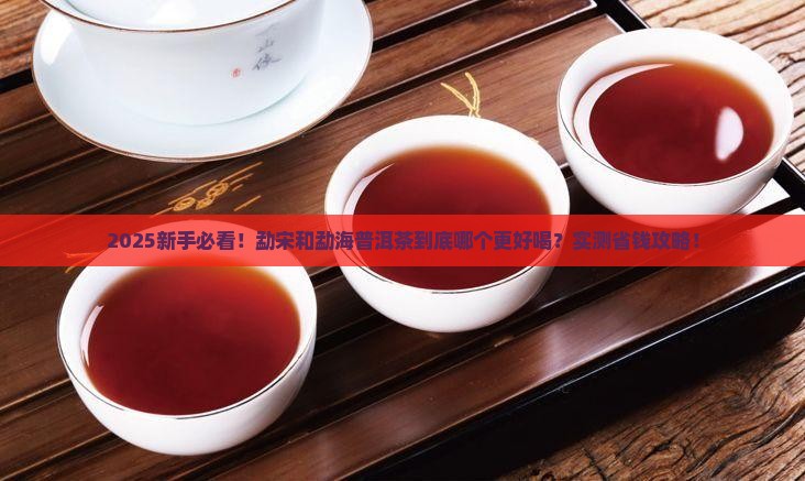 勐宋和勐海普洱茶哪个好一点呀