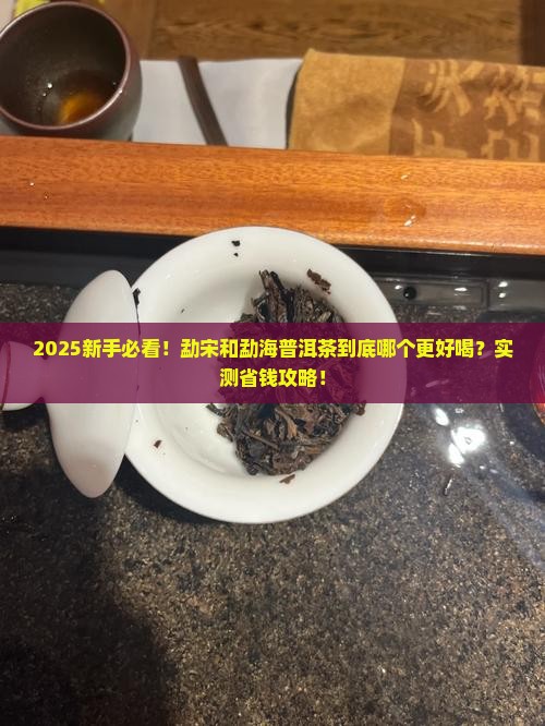 勐宋和勐海普洱茶哪个好一点呀