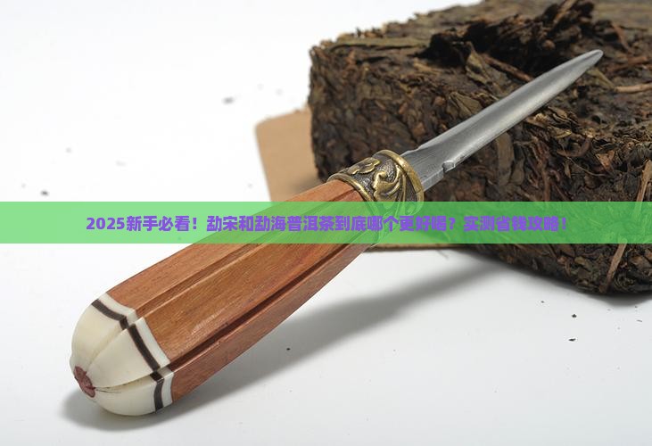 勐宋和勐海普洱茶哪个好一点呀