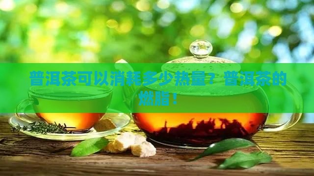 普洱茶可以消耗多少热量