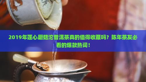 2019年莲心磨菇沱普洱茶