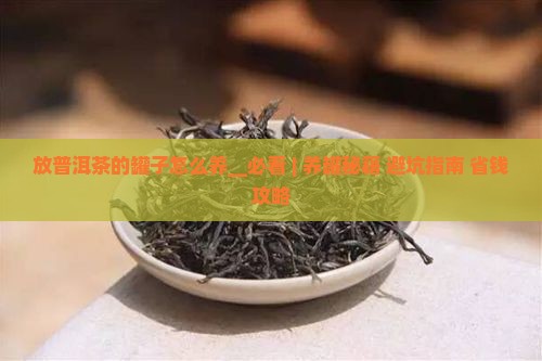 放普洱茶的罐子怎么养